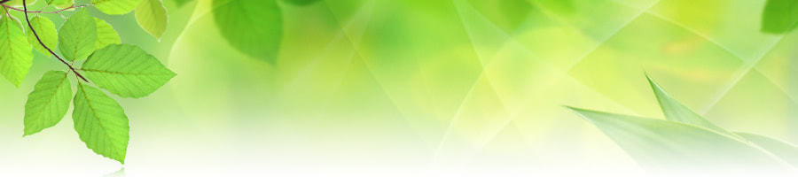 �����E�����E���^�œo�L�E�s���Y���`�ύX|����s�i�@���m